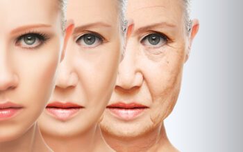 myths and stereotypes of aging