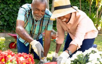 hobbies for seniors